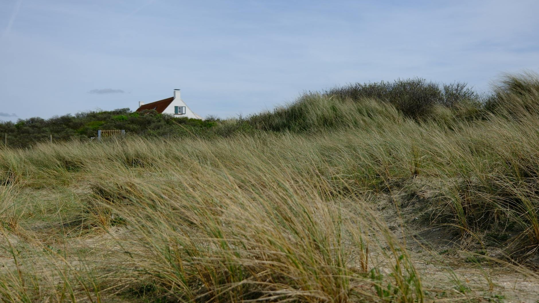 Fini l’angoisse de la panne : ce boîtier va changer la vie des propriétaires de van électrique