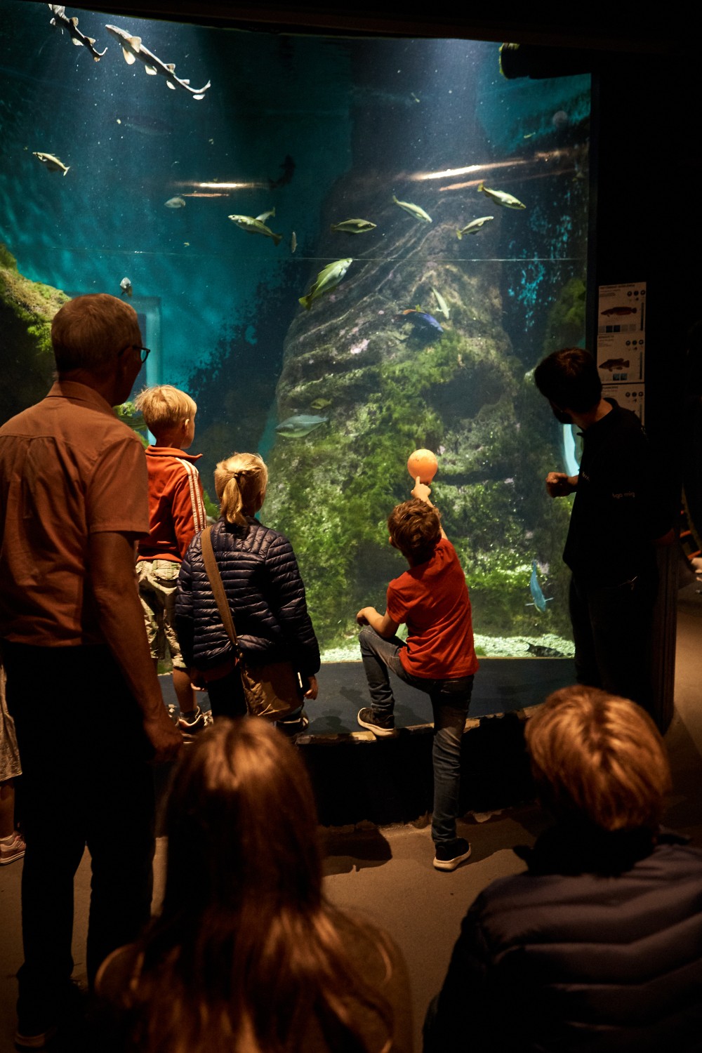 West Sweden Tourist Board - Photo officielle